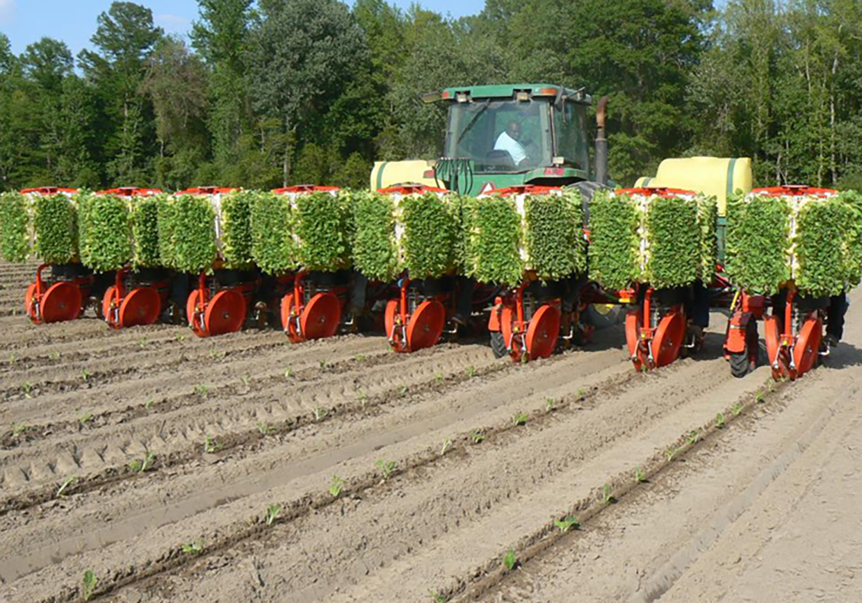 Trium 8row carousel transplanter by checchimagli
